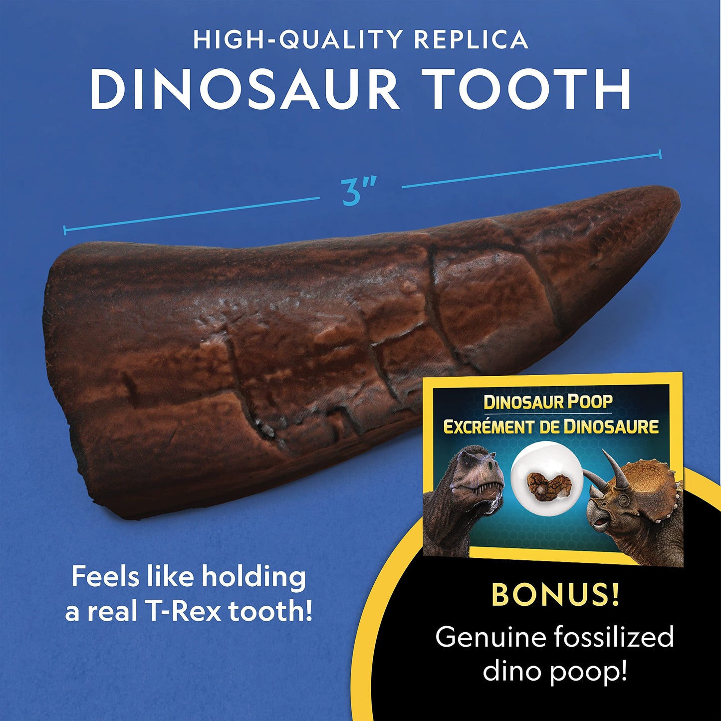 T-Rex Fossil Dig Kit