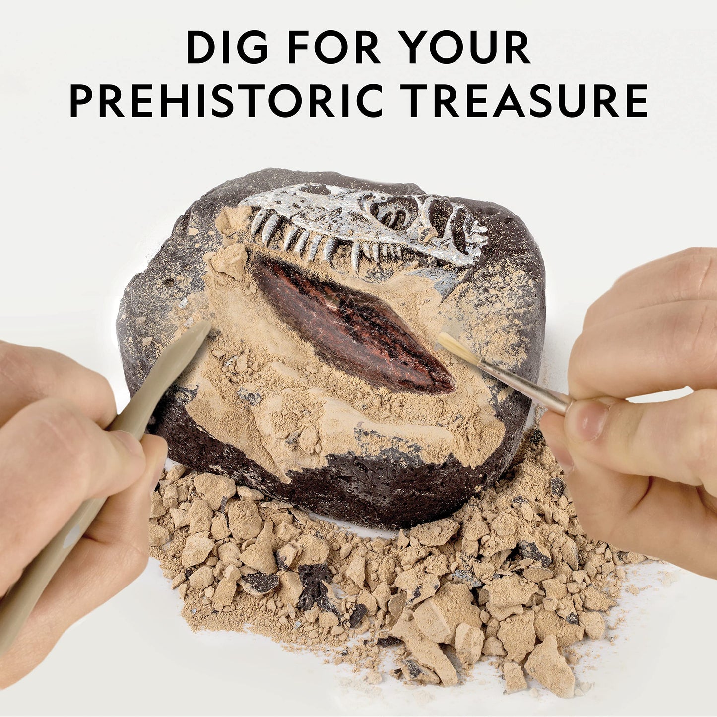 T-Rex Fossil Dig Kit