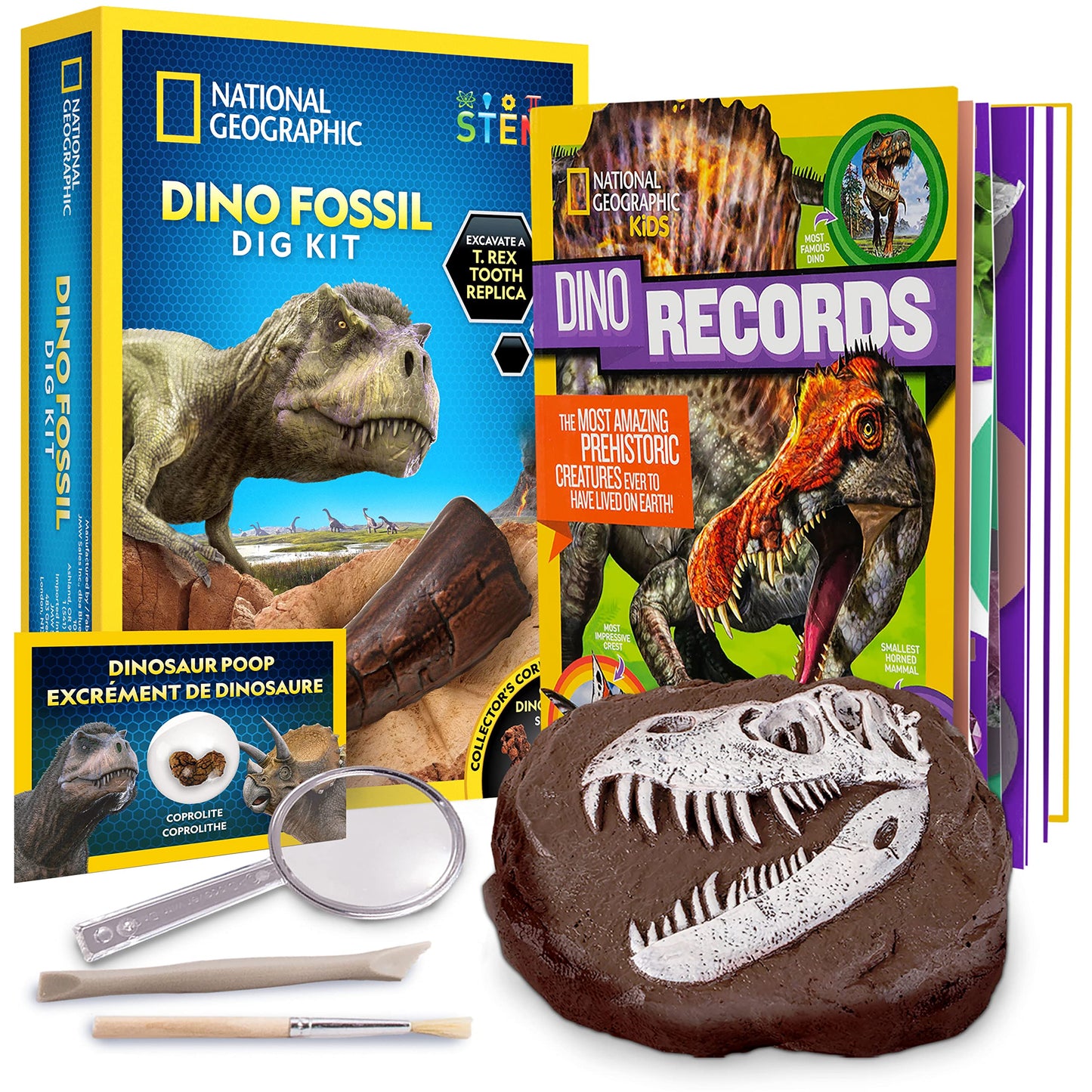 T-Rex Fossil Dig Kit