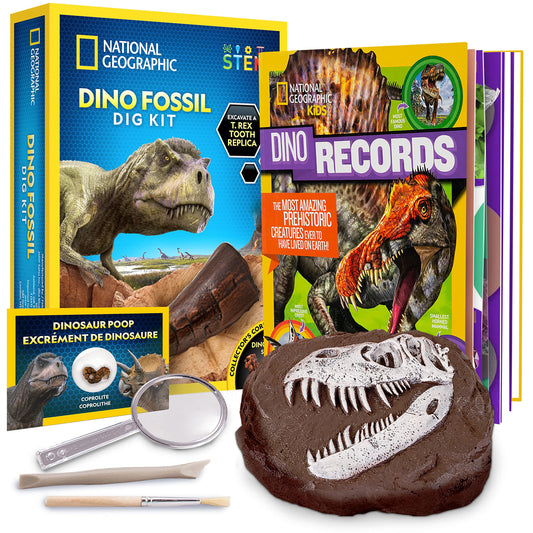 T-Rex Fossil Dig Kit