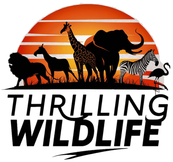 Thrilling Wildlife